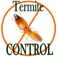 Termite Control Authority image 1